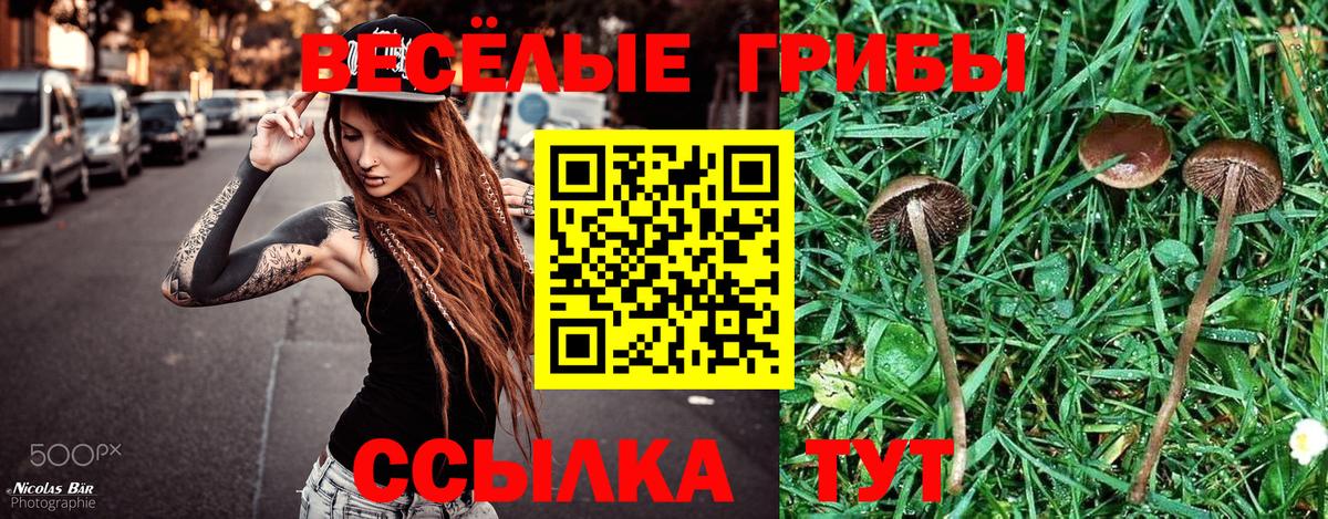 Галлюциногенные грибы GOLDEN TEACHER  купить наркотики сайты  Вход с VPN  Якутск  Галлюциногенные грибы Psilocybe 